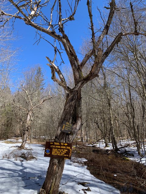 Outside Prospects Park West The Reporter Catskills Today